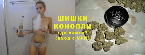 молекула духа Арсеньев