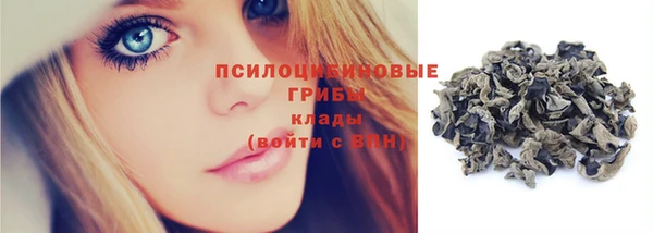 молекула духа Арсеньев