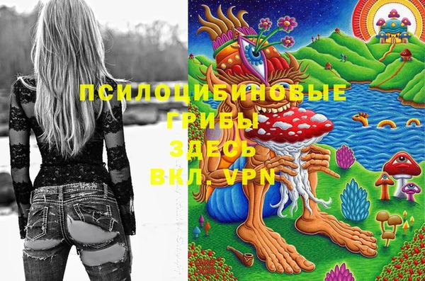 молекула духа Арсеньев