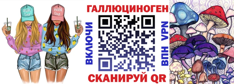 цена   Салехард  Псилоцибиновые грибы мицелий 
